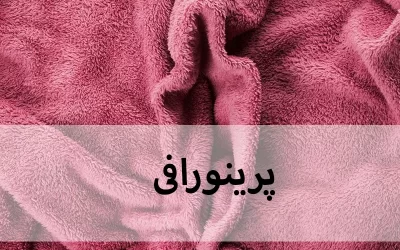  پرینورافی در کرج